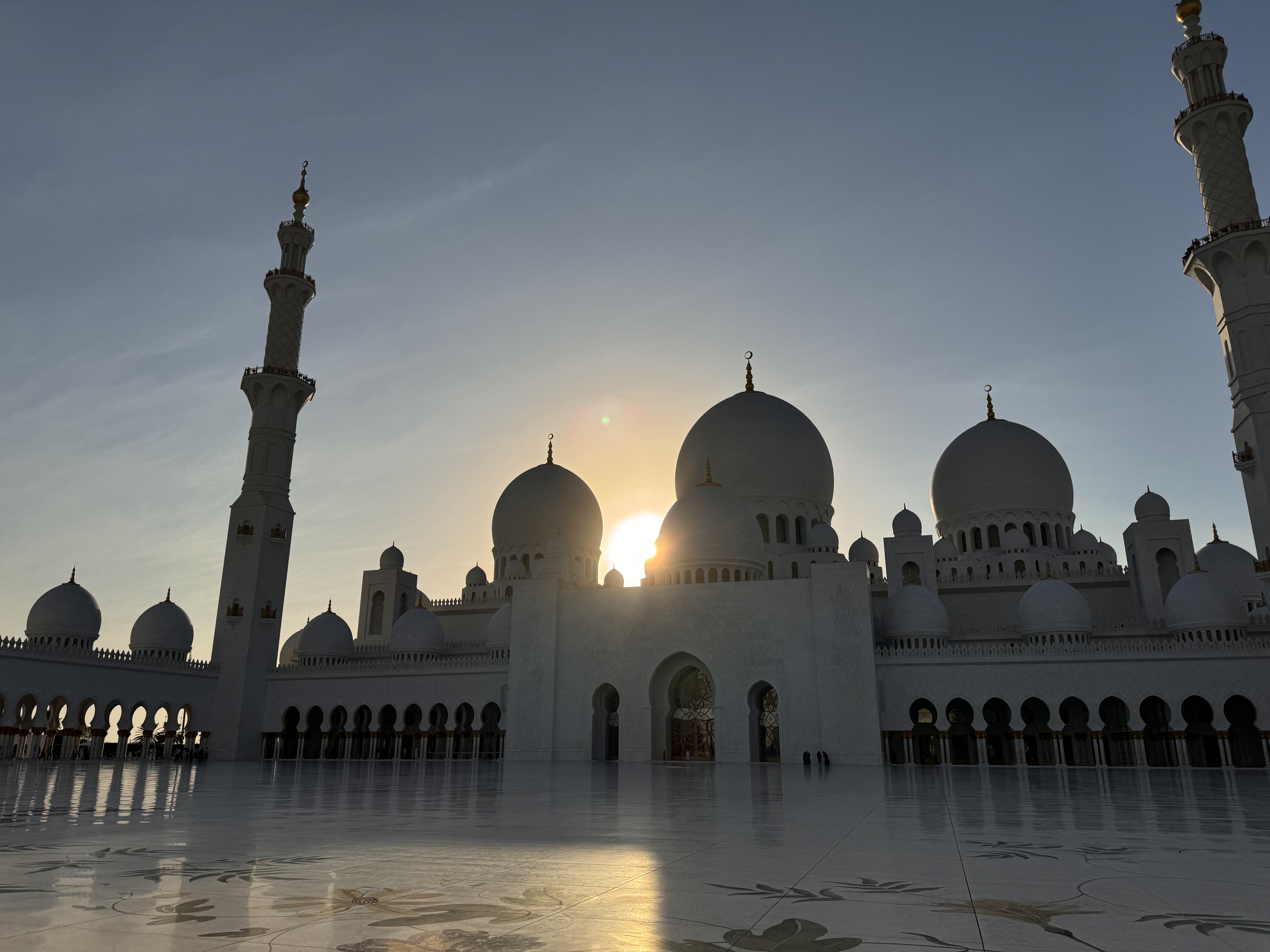 NYU Abu Dhabi campus