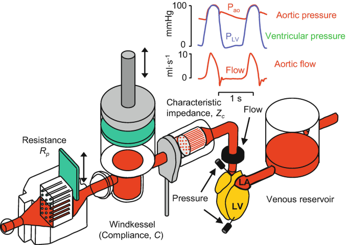 Cardiovascular volume tracking